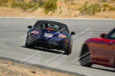 media/Jun-01-2025-VIP Trackdays (Sun) [[b20349723e]]/C Group/Session 2 (Turns 7 and 8)/